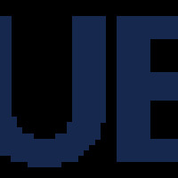 BlueCat logo
